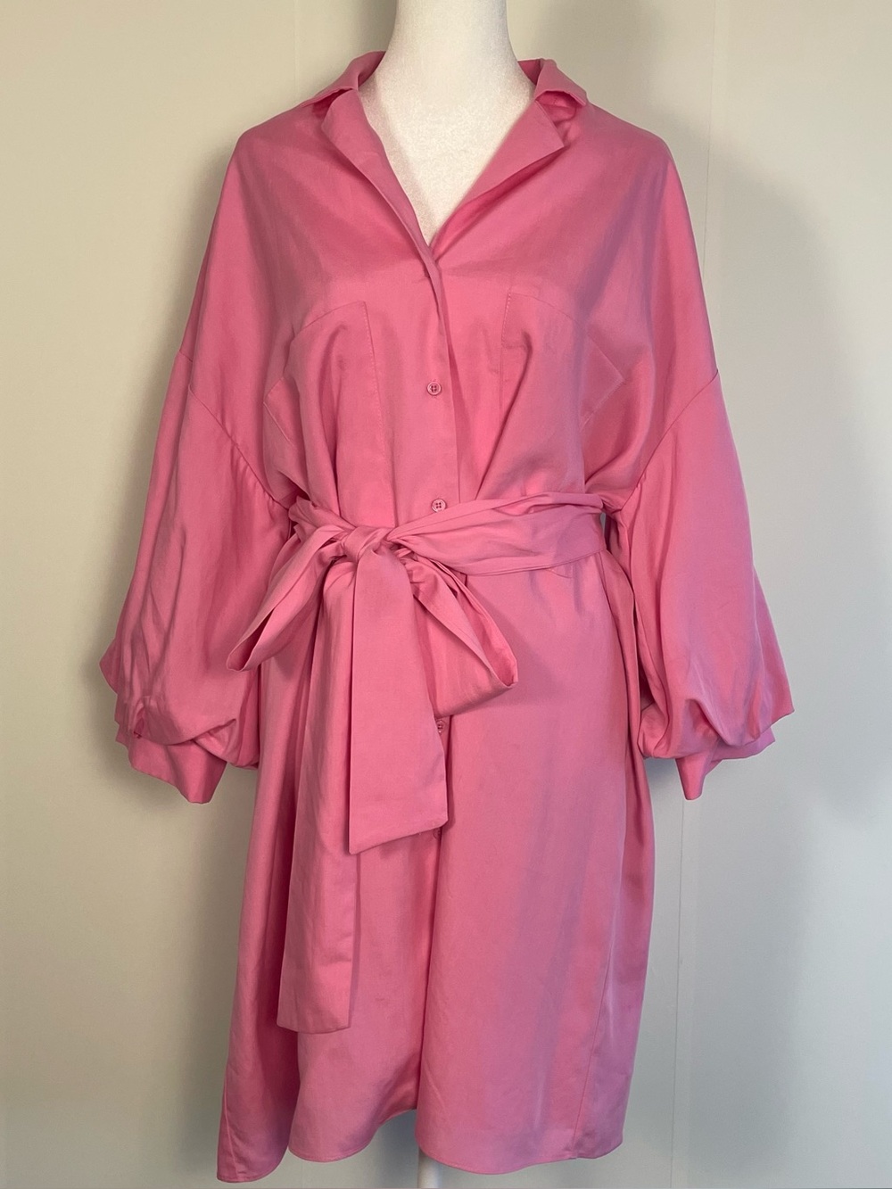 ENDLESS ROSE Shirt Dress Blouson Sleeve Pink Belted Mini Barbiecore - Size Large